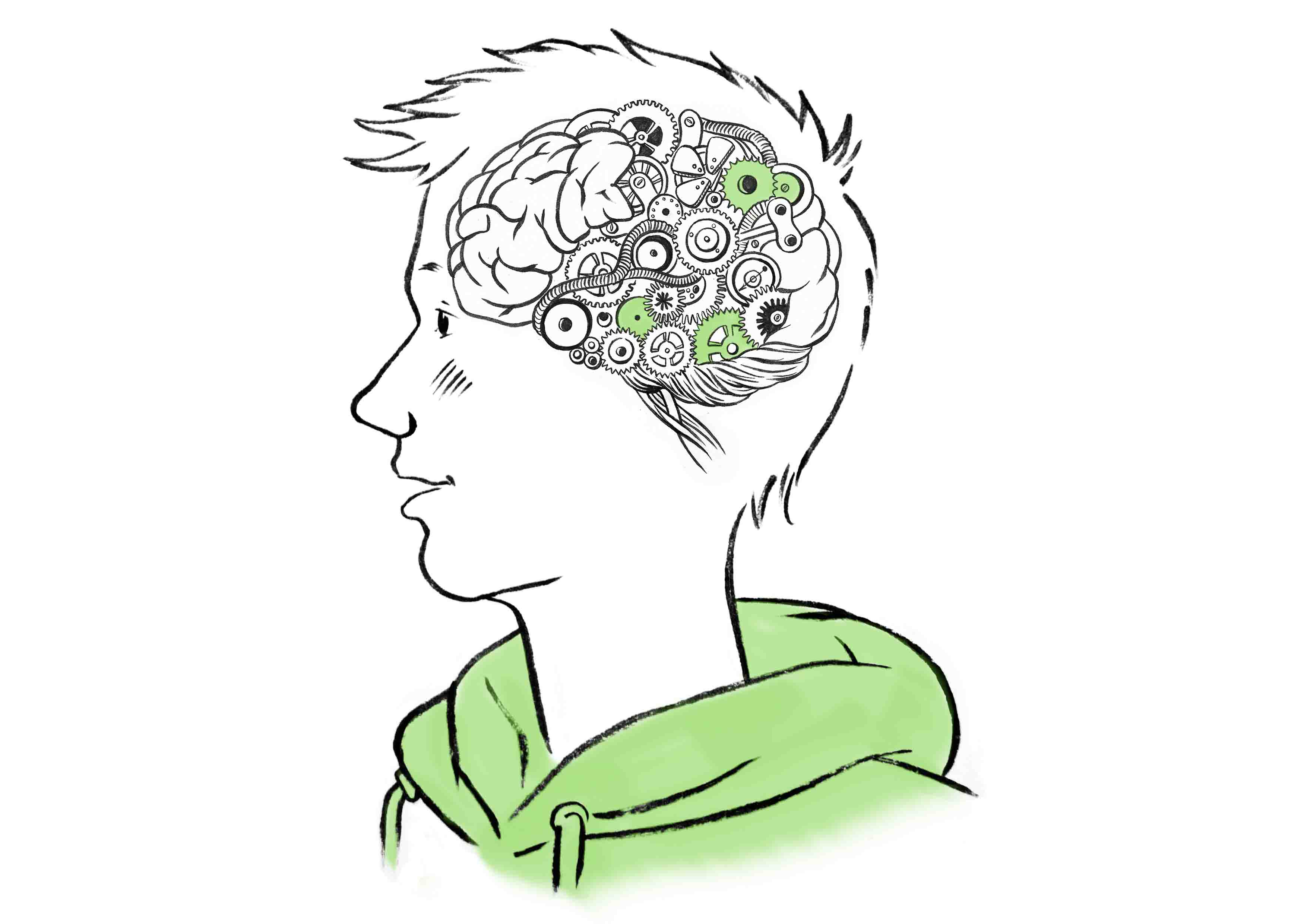 Развитие мозга и поведение подростка